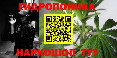 эйфоретик Камень-на-Оби