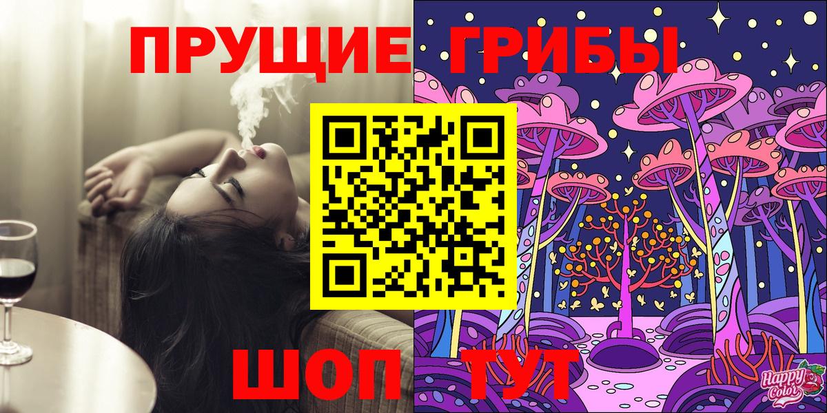 Владимир  Галлюциногенные грибы Psilocybine cubensis  Вход с VPN 